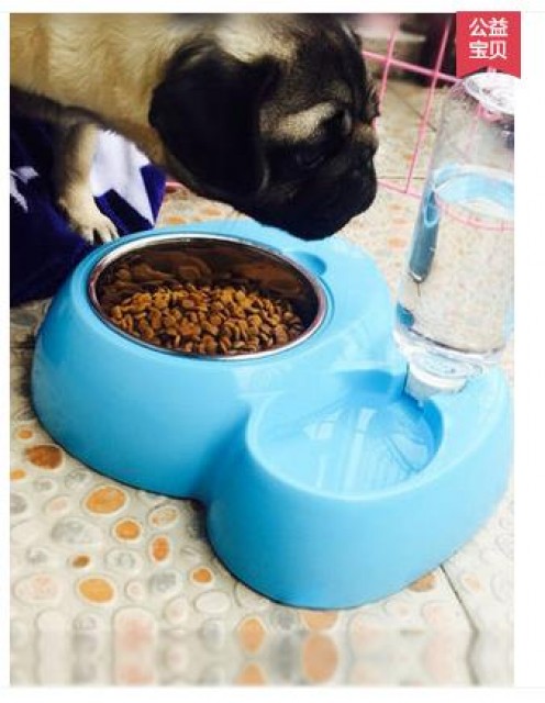 [해외] 핫신상 애완동물 애완견 고양이 강아지 식기 그릇 식반 귀여운 그릇
